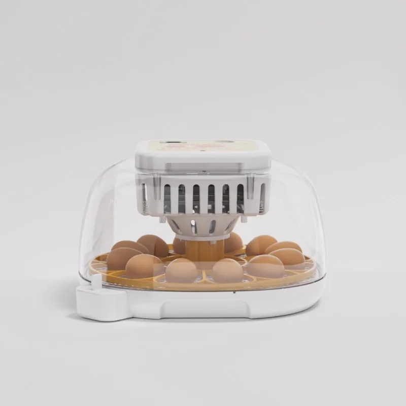 Dual Power Supply Mini Automatic Egg Incubator Chicken Incubator for Hatching Chicken Ducks Birds Eggs
