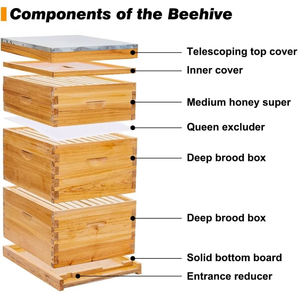 10 Frame Bee Hive, Beeswax Coated Beehive Include 2 Deep Bee Boxes and 1 Medium Bee Box with Beehive Frames and Foundation