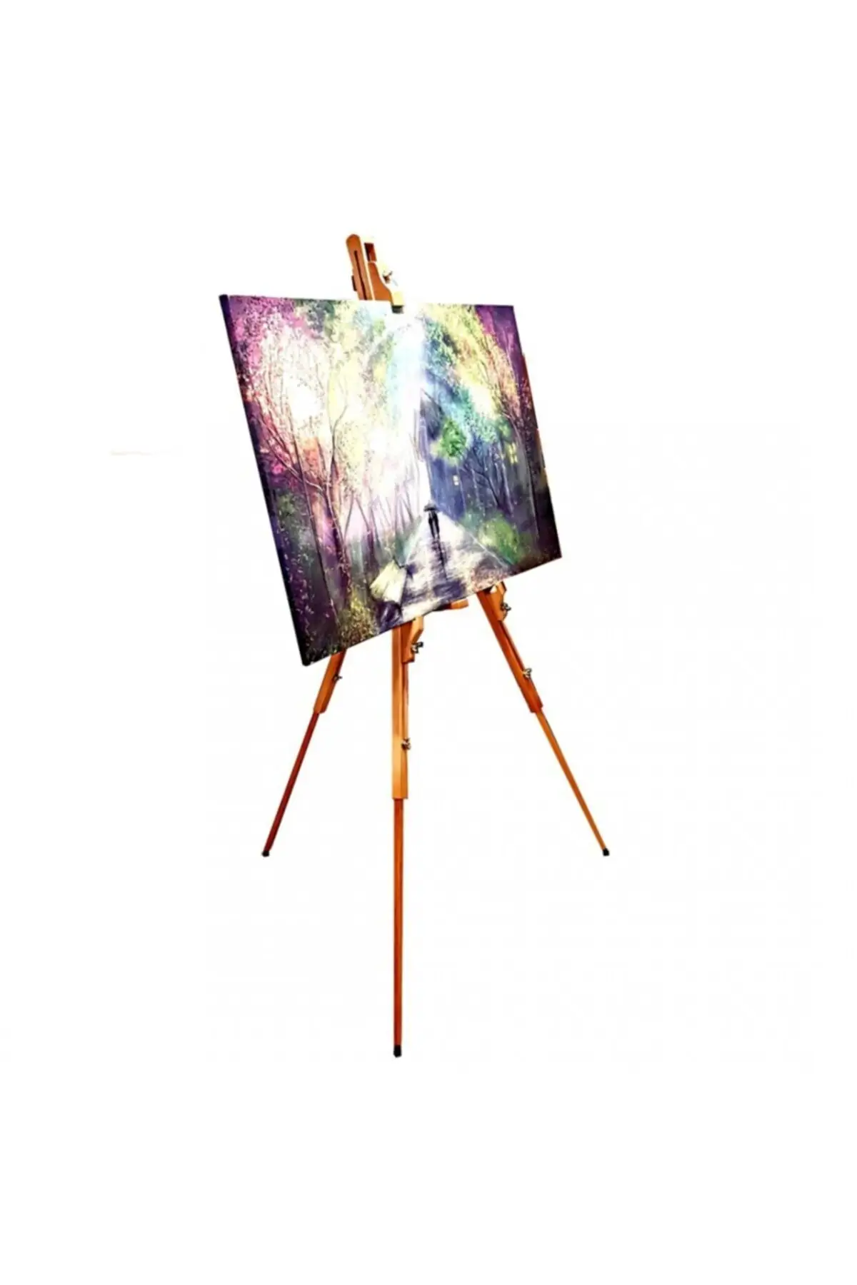 Wooden Adjustable Wild Type Easel (carry Bag)