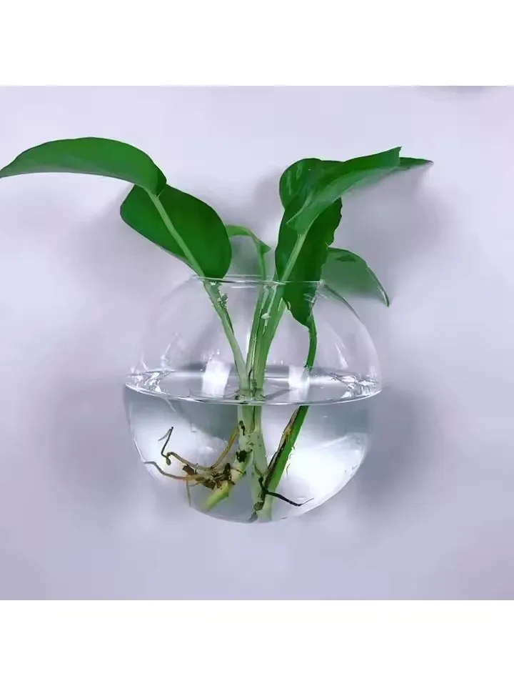 2/4/6/8 Pack Wall Hanging Glass Terrarium - Self-watering Hydroponic Planter For Home Office Decor, Handmade Round  JJ2942SS