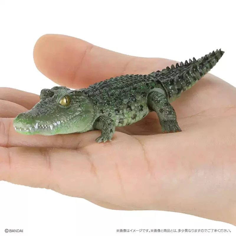 バンダイオリジナルおもちゃイケモノタイショウアドバンスクロコディラスニロティカスガリアルガチャガシャポンアニメアクションモデルフィギュアコレクション