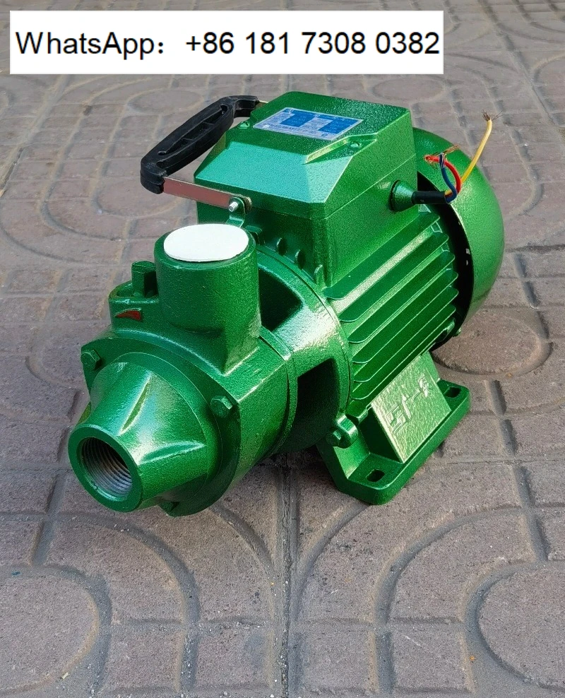 Clean Water Booster Pump 1DB-35/45/65/35-220V/380V For Domestic Water Pressure Boosting High Efficiency