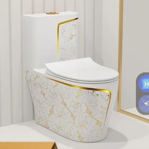 Luxury One Piece Floor Mounted Dual-Flush Ceramic Toilet with Gold Black Finish