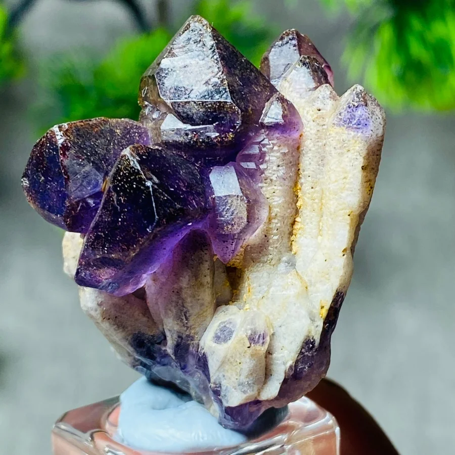 

Mexico Natural Vera Cruz Amethyst Rough Crystal Quartz Specimen Healing Energy Stone For Home Desk Decor Precious Gift