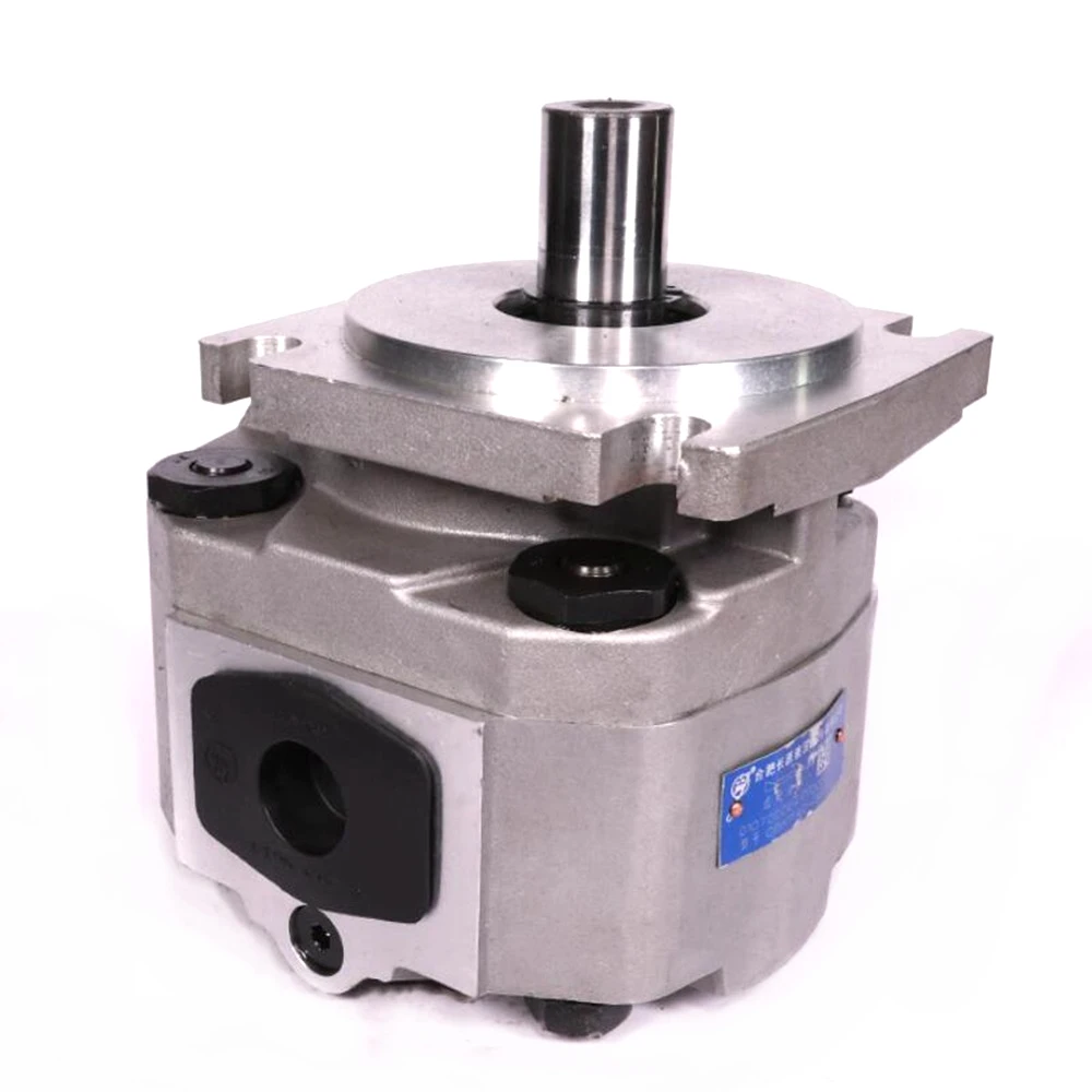 CBKP Hydraulic Gear Pump CBKP80-BFP CBKP100-BFP CBKP80-BFPL CBKP100-BFPL High Pressure Gear Pump Straight Key Shaft