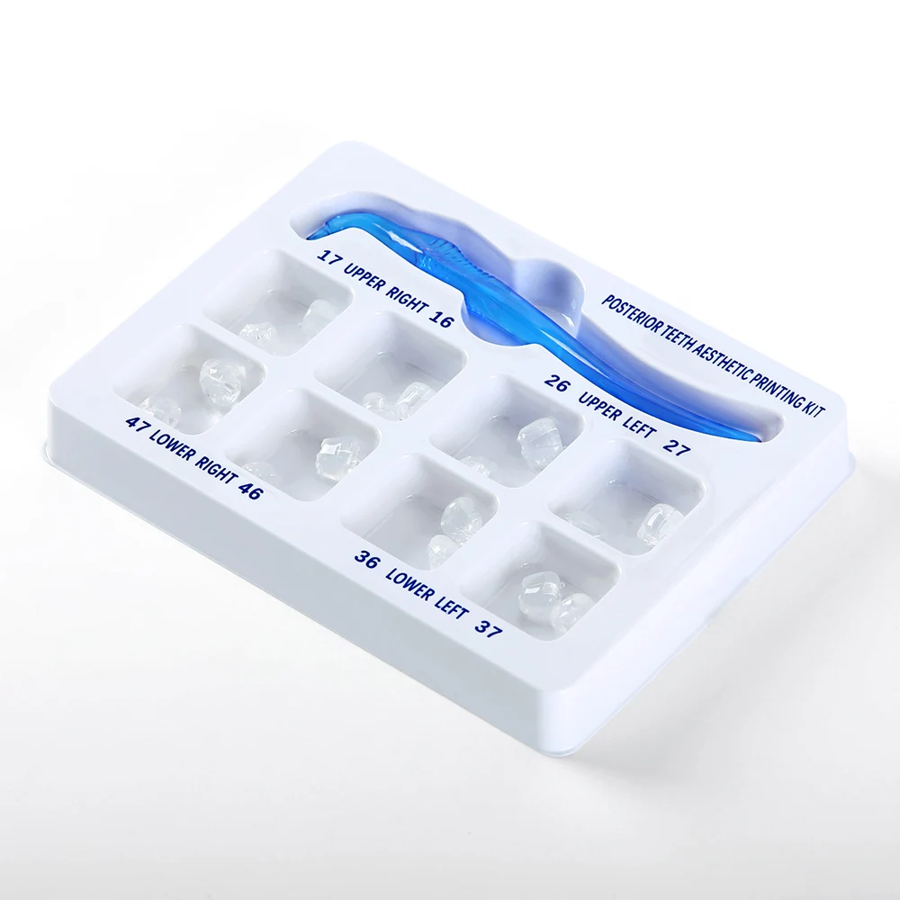 AZDENT-Conjunto De Acessórios Odontológicos, Dentes Posteriores Dentais, Kit De Impressão Estética, Restauração De Moldes, Ferramentas De Enchimento, 16 Dentes, Odontologia