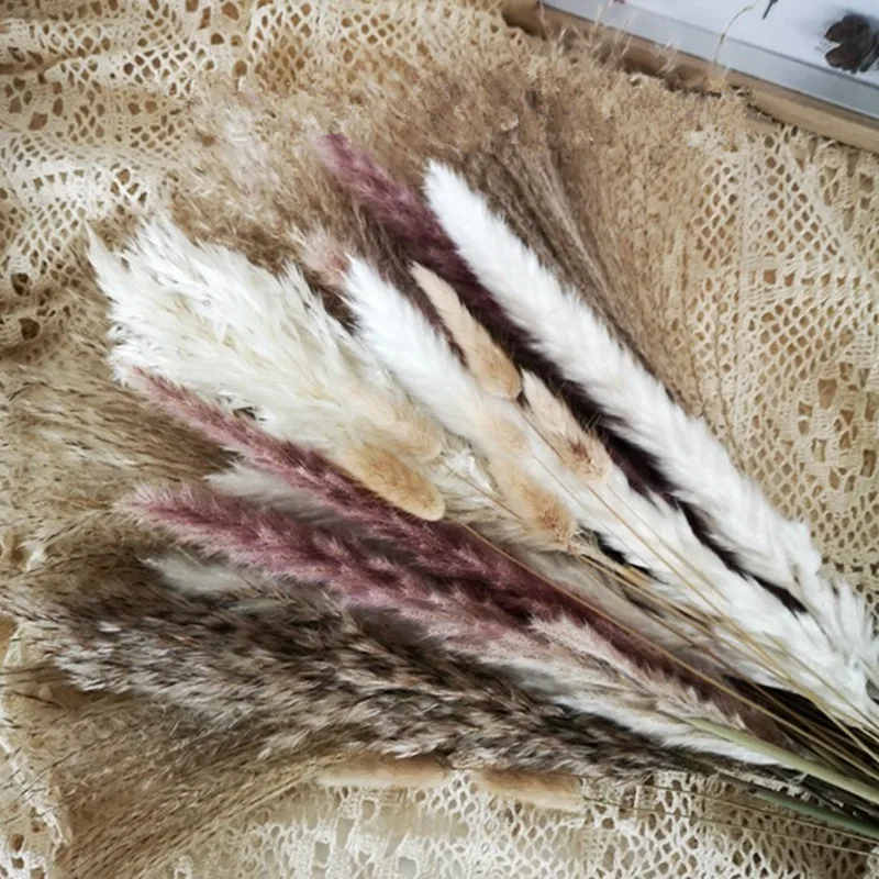 Natural Real Dried Flowers Bouquet, Reeds Rabbit Tail Pampa Grass, Christmas Decoration, House Decor, Home, Trockenblumen