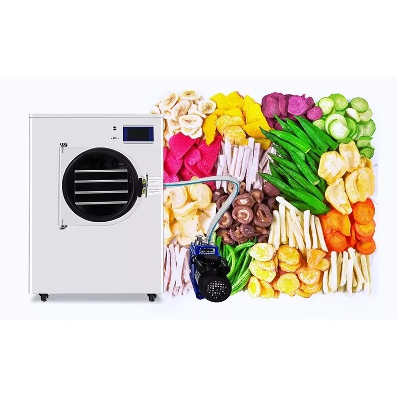 Compact 220V Vacuum Freeze Dryer For Home Laboratory Small Scale Fruit Vegetable Meat Pet Food Drying Machine