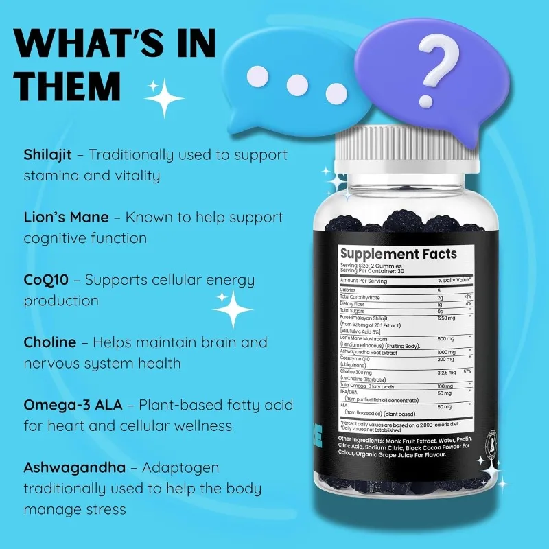 Himalaya Shilajit Contains Lion Mane CoQ10 and Omega-3- Energy Health Support-60 Capsules