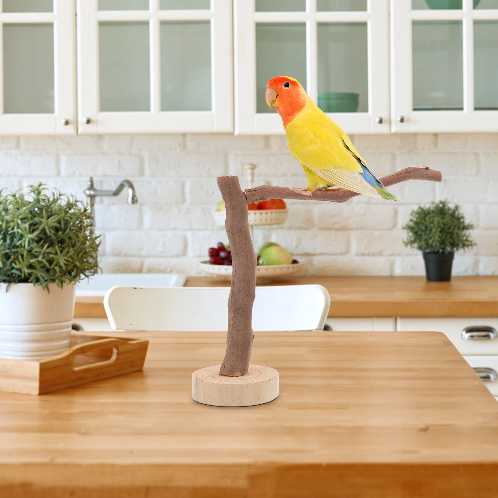 

Grape Branch Bird Stand 20cm Height Parrot Perch Cage Toy for Parakeet Accessories Pet Bird Chew Wooden Stands