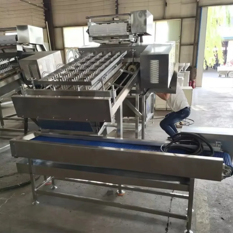 Fresh Shrimp Shell Remover Automatic New Design No Damaged Prawn and Seafood Peeler Prawn Shell Skin Removing Machine