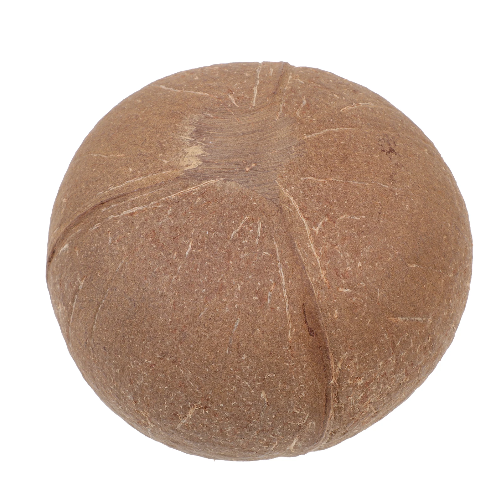 

Shell Bowl Natural Wooden Container For Diy Aromatherapy Relaxation Storage Jar Craft Supply Decor