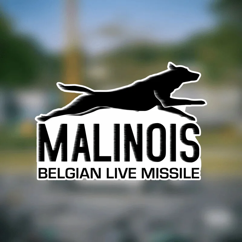 Belgian Malinois Live Missile Vinyl Decal - Self-Adhesive, Waterproof, Matte Finish Sticker for Glass/Metal Surface-Compatible