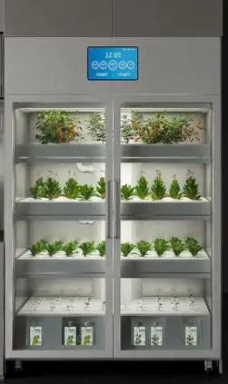 New Agricultural Greenhouse Intelligent Fully Automatic Hydroponics Growing System Equipment Machine