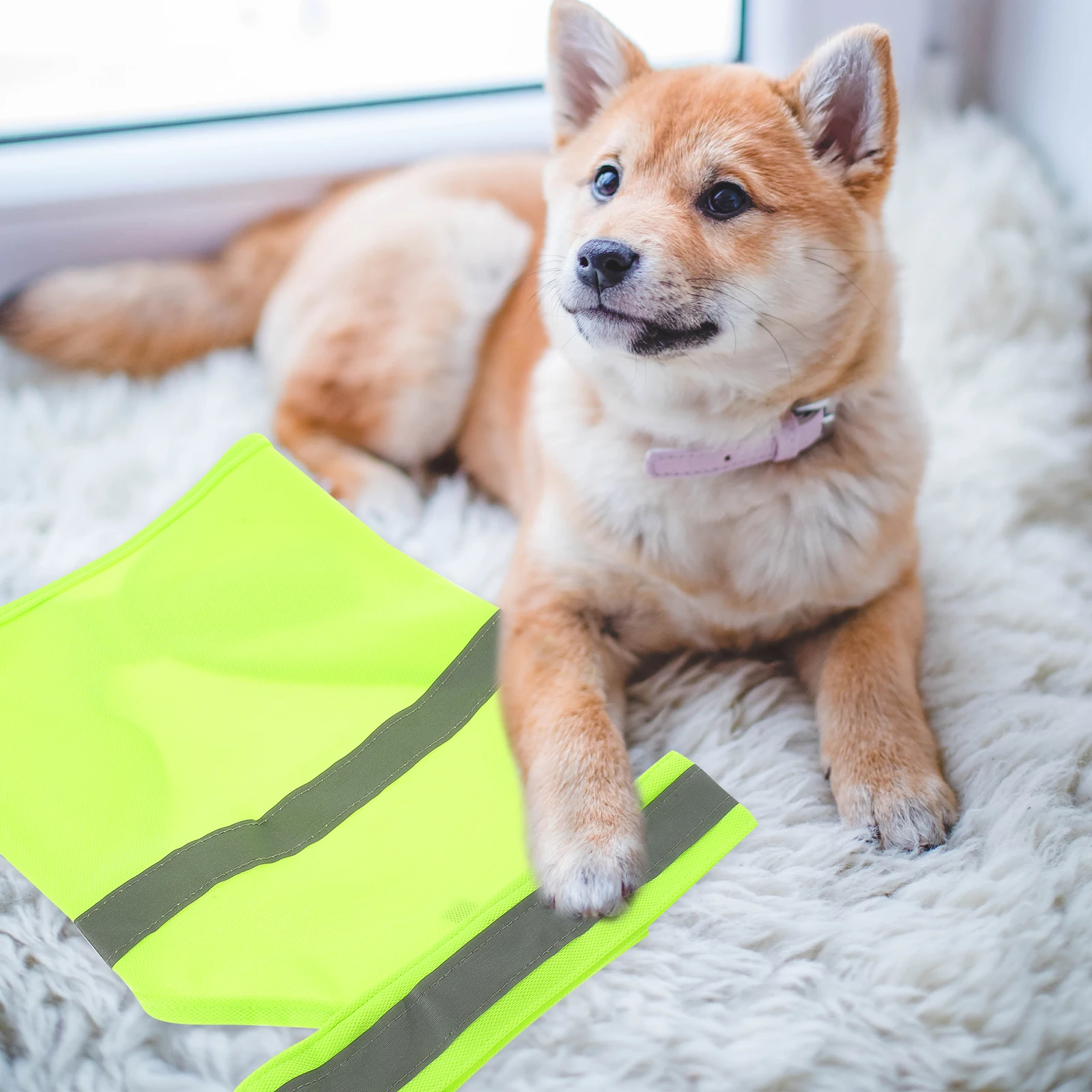 

High Visibility Fluorescent Reflective Safety Adjustable Large Medium Small Outdoor Hunting Walking Reflective for for Large