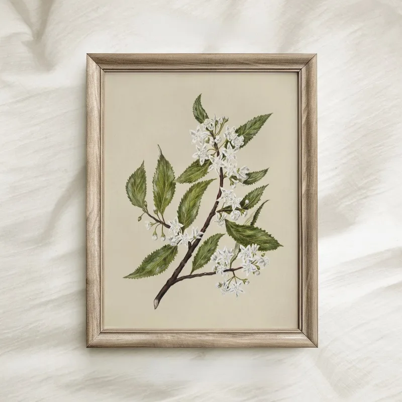 Vintage Beauty Style Botanical Flower Floral Gallery Art Poster Canvas Painting Wall Prints Picture for Living Room Home Decor