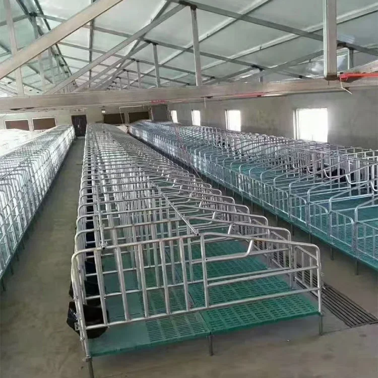 Home Use Pig Farm Equipment Animal Cages for Pig Care and Management