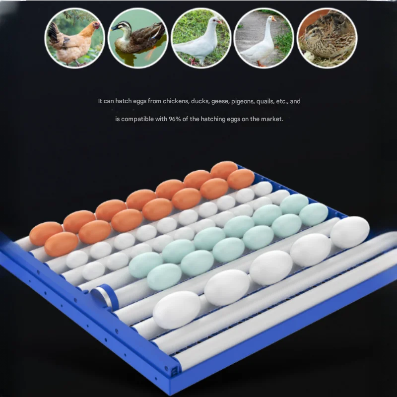 FOODLINE Industrial Automatic Egg Turning Incubator Stable Performance For Large Scale Poultry Hatchery Plant
