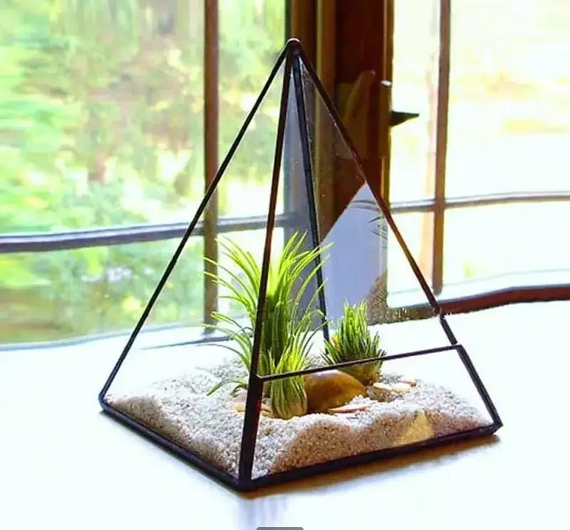 Immortal Flower Display Stand Succulent Pots Glass Vase Plant Pot Desktop Micro Landscape Pyramid Garden Planters