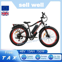 BAOLUJIE DP-2619 Electric Bike 26*4.0 Inch Fat Tire 750W Motor EBike 48V13Ah Battery 45km/h Max Speed 45km Max Range LCD Display