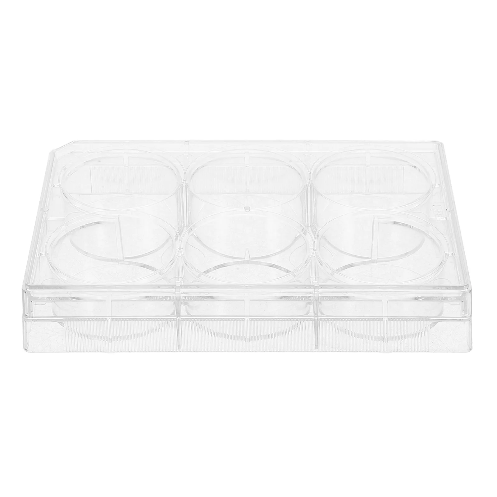 

12 Wells Culture Plate TC Treated Transparent Plastic Plate For Lab Specimen Tray Tissue Tool for Research