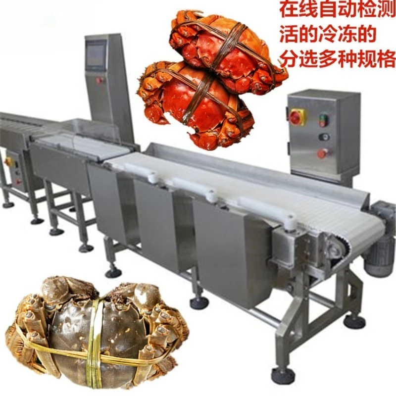 Food factory aquatic product grading scale, belt chain automatic conveyor, weight weighing