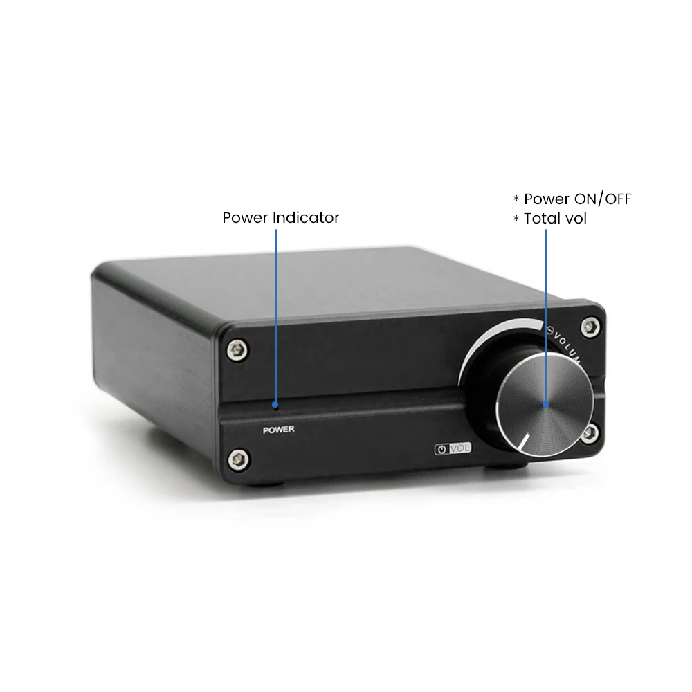 Woopker Subwoofer Amplifier/full-range Mono HiFi Class D Digital Audio Amplifier 100W TPA3116 Suitable for Home Theater DC12-24V