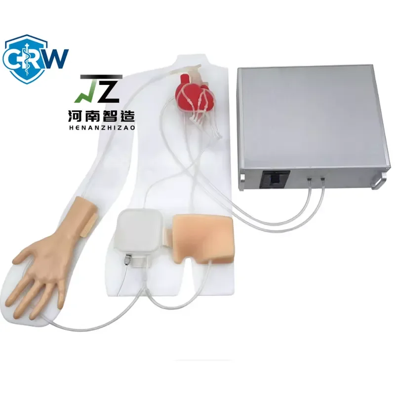 CRW Bestselling Percutaneous Coronary Intervention Training Simulator Beating Heart PCI Training Cardiovascular
