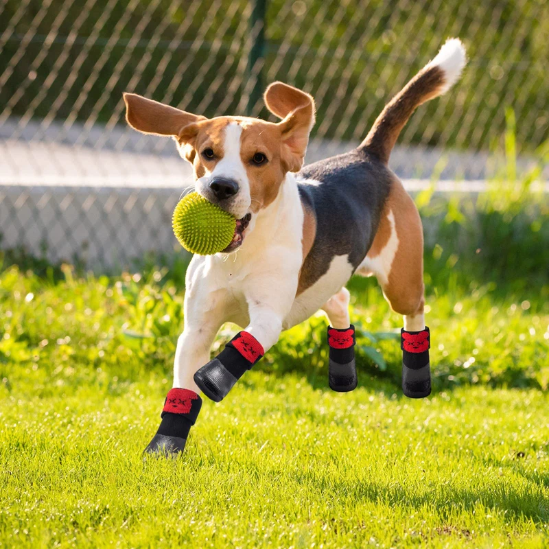 Benepaw wygodne buty dla małych psów miękkie wodoodporne antypoślizgowe buciki dla zwierząt oddychające regulowane buty dla szczeniąt ochraniacz na