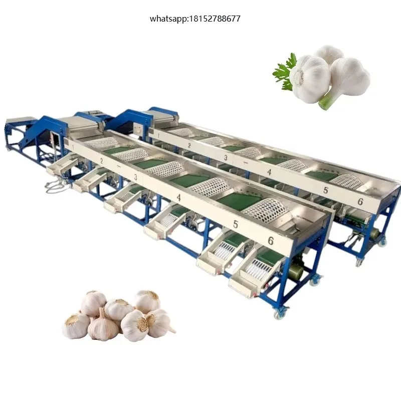 Fruit and Vegetable Sorting Machine Fruit Size Sorting Machine Fruit &vegetable Grading Machine