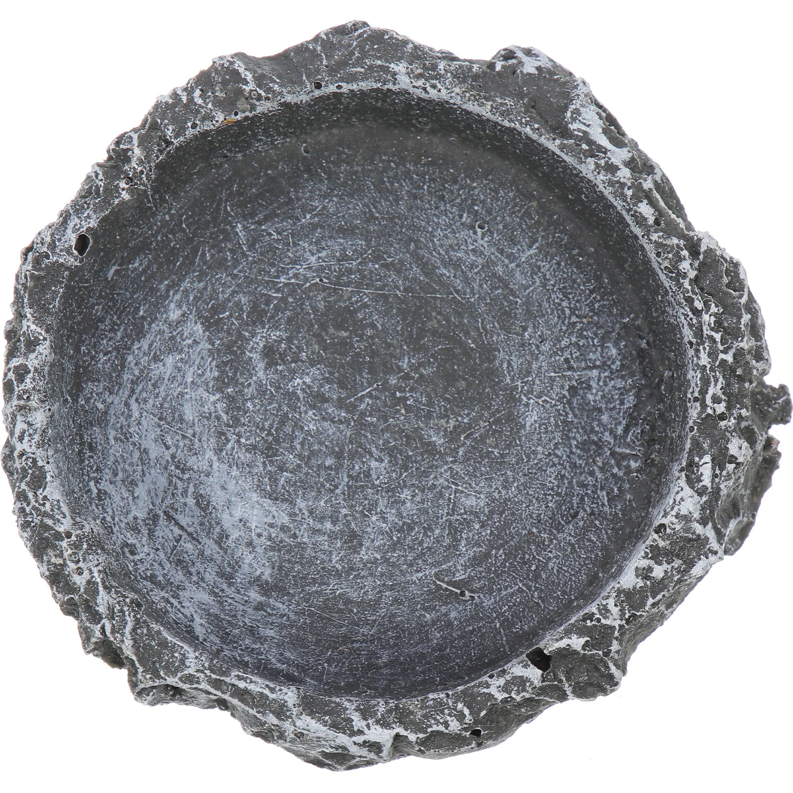 

Tortoise Feeding Basin High Density Resin Smooth Surface Easy Clean Water Dish for Reptile Terrarium Environment Match