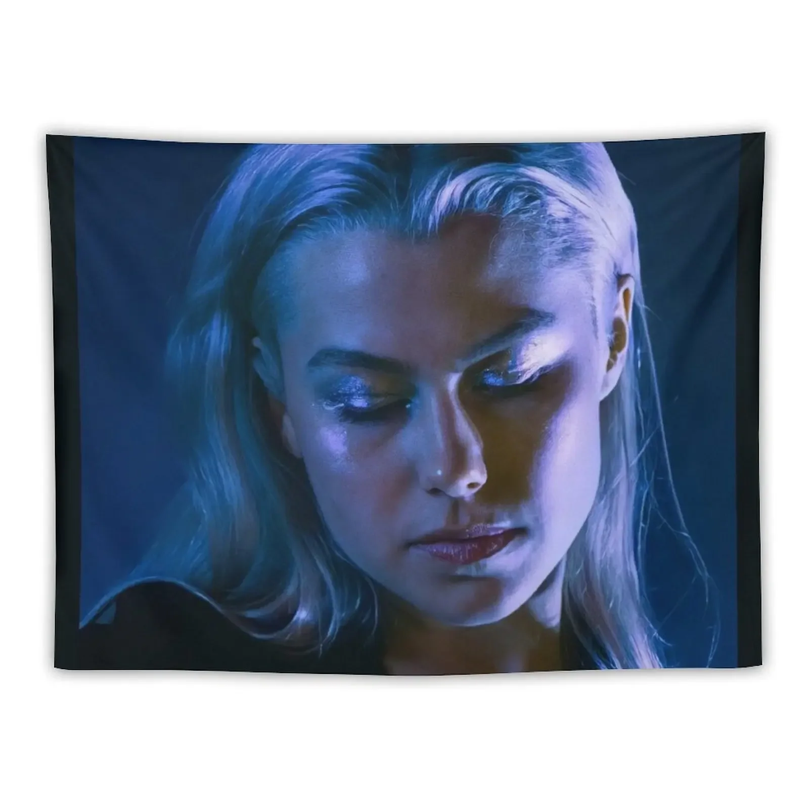 Phoebe Bridgers Tapestry Room Aesthetic Bedroom Decor Aesthetic Aesthetic Decoration Room Decorations Tapestry