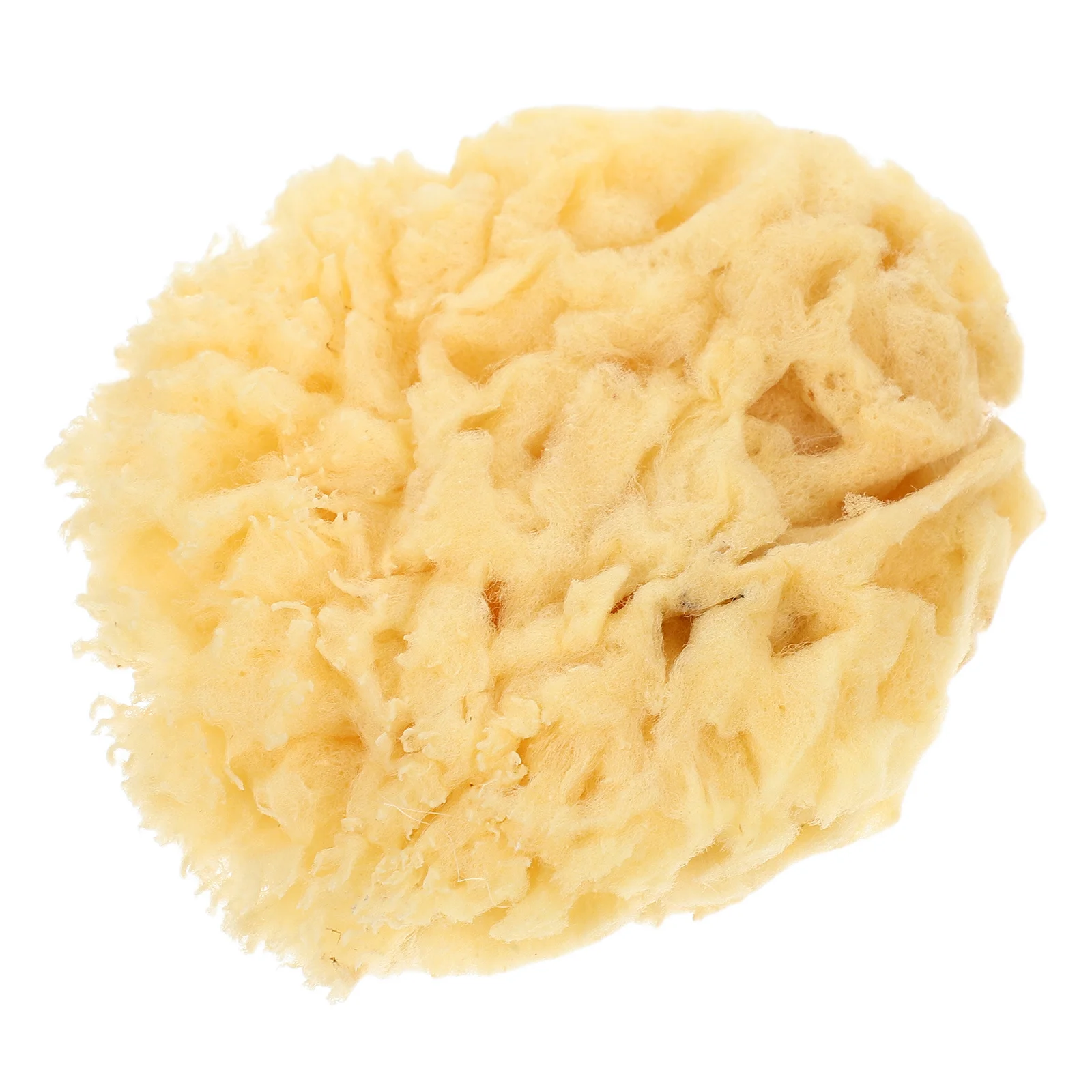 

Natural Sea Sponge Painting Tool Soft Water Absorption 2.0-2.5 Inch Watercolor Sponge Professional Artistic Use