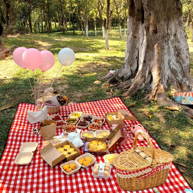 Country Style Wicker Picnic Basket Hamper With Lid And Handle & Liners For Picnics, Parties, Wedding And Bbqs