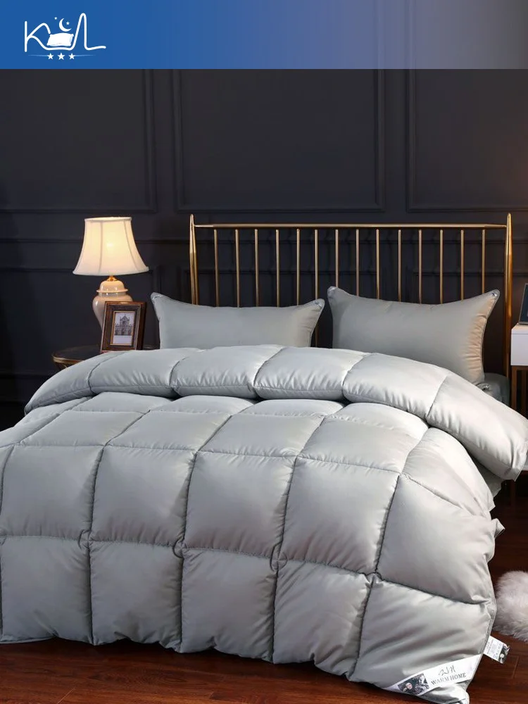 95% White Goose Down Duvet Insert, All Season Warmth Summer Winter Duvet, Lightweight Quilt & Heavy Warm Comforter