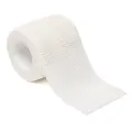 White   10PCS