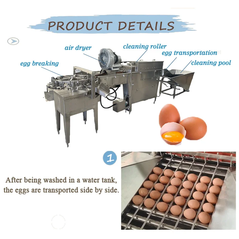 Desktop Egg Cleaning Machine Food Grade Egg Washer for Small Egg Business Easy Disassembly To Clean