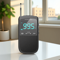 Rechargeable Portable AM FM WB Weather Alert Radio Digital Tuning LCD Display Optimal Reception
