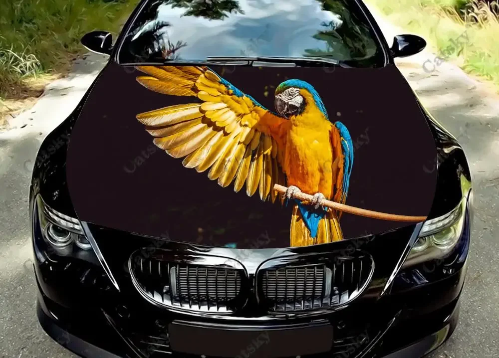 parrot animal cute Car Hood Decals Self Adhesive Paint Stickers Car SUV Wraps Truck Graphics Car Hood Vinyl Decals