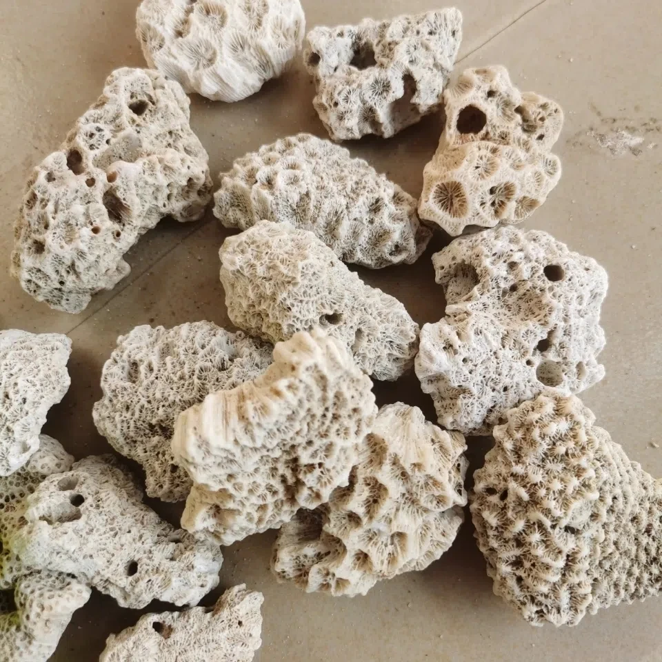 Coral Bone Fish Tank Filter Material High Quality Coral Sand Coral Stone Broken Coral Bone Decorative Aquarium Landscape Filter