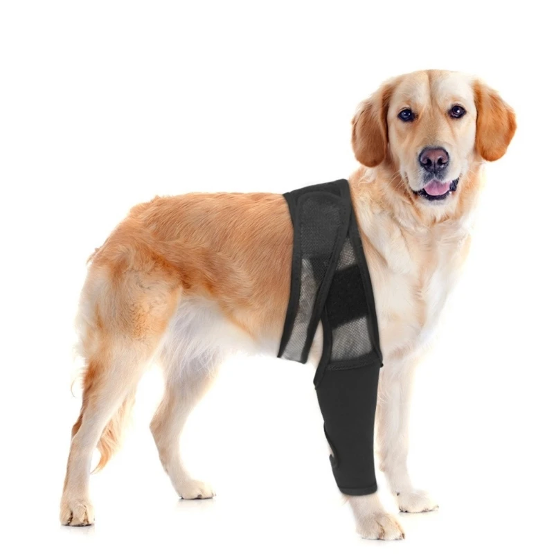 2025 New Enhances Recovery Aid Leg Sleeve for Dogs Offering Wound Protections and Comfortable Fit for Large Pets During Recovery