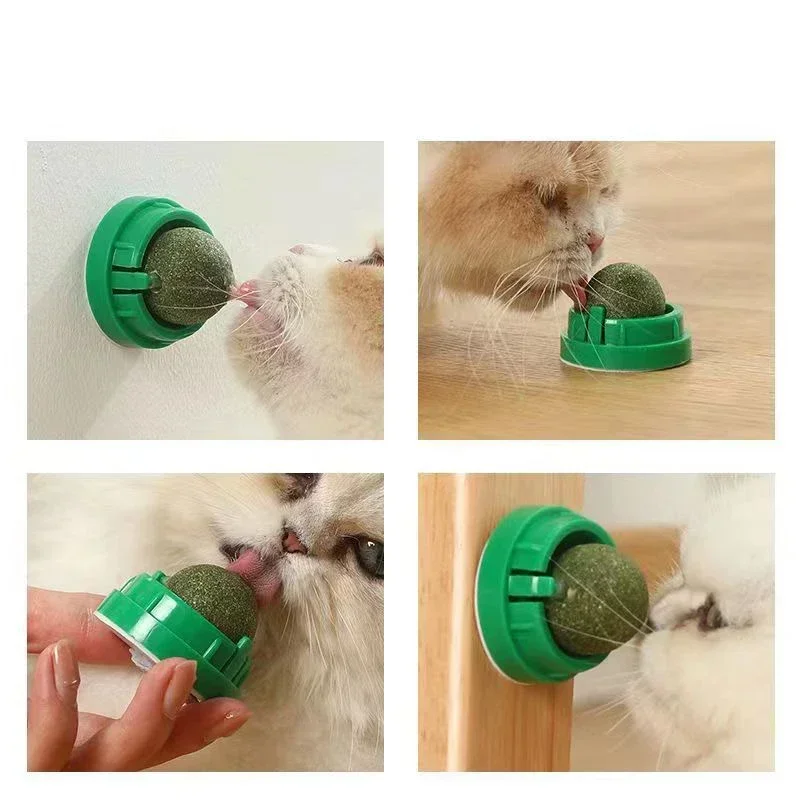 The Catnip Cat Wall  Ball Clean Mouth Promote Digestion Kitten Candy Licking Snacks Pet Mint Ball Toys for Cats Cat Accessories