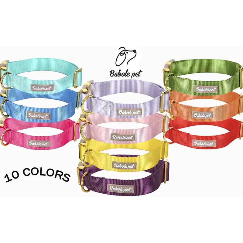 Personalized Engraved Reflective Dog Collar with Buckle Adjustable Safety Nylon Collars for Small Medium Large Dogs