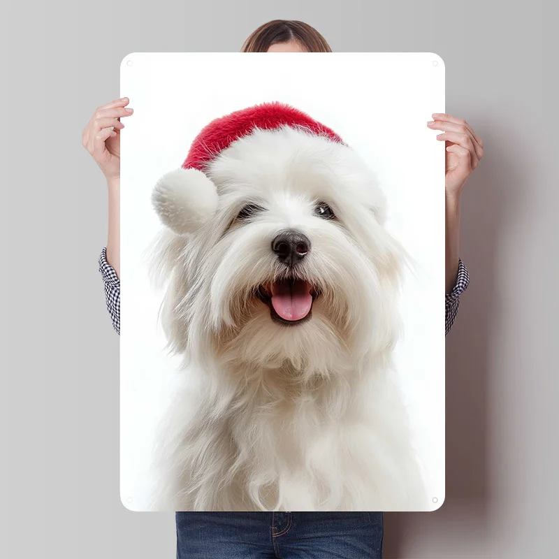 Panneau métallique en forme De chien Coton De Tulear, mignon, affiche De Festival, décoration De maison, décor De salon, signes en étain personnalisés pour décoration artistique murale