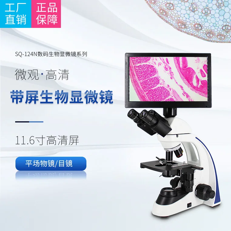 Laboratory microscope,  biological microscope digital high definition scientific research organism