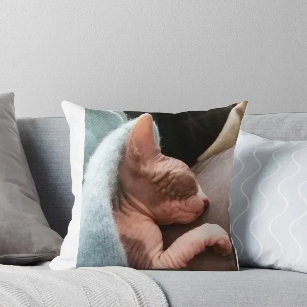 

Kitten sphynx cat bicolor sleep Throw Pillow Pillow Cover Sofa Cushions Covers pillow