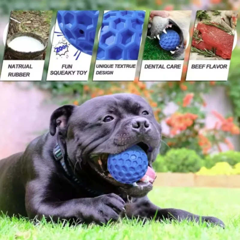 Thumbnail 2 - #25 Trending Dog Balls Right Now