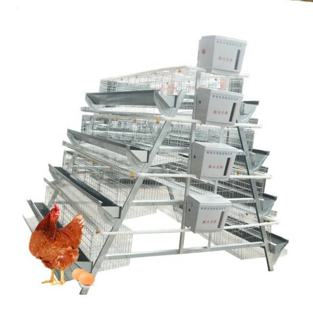 New Poultry Layer Farm Equipment 4-Tier A-Type Automatic Battery Hot-Dip Galvanized Chicken Egg Laying Hens Cage
