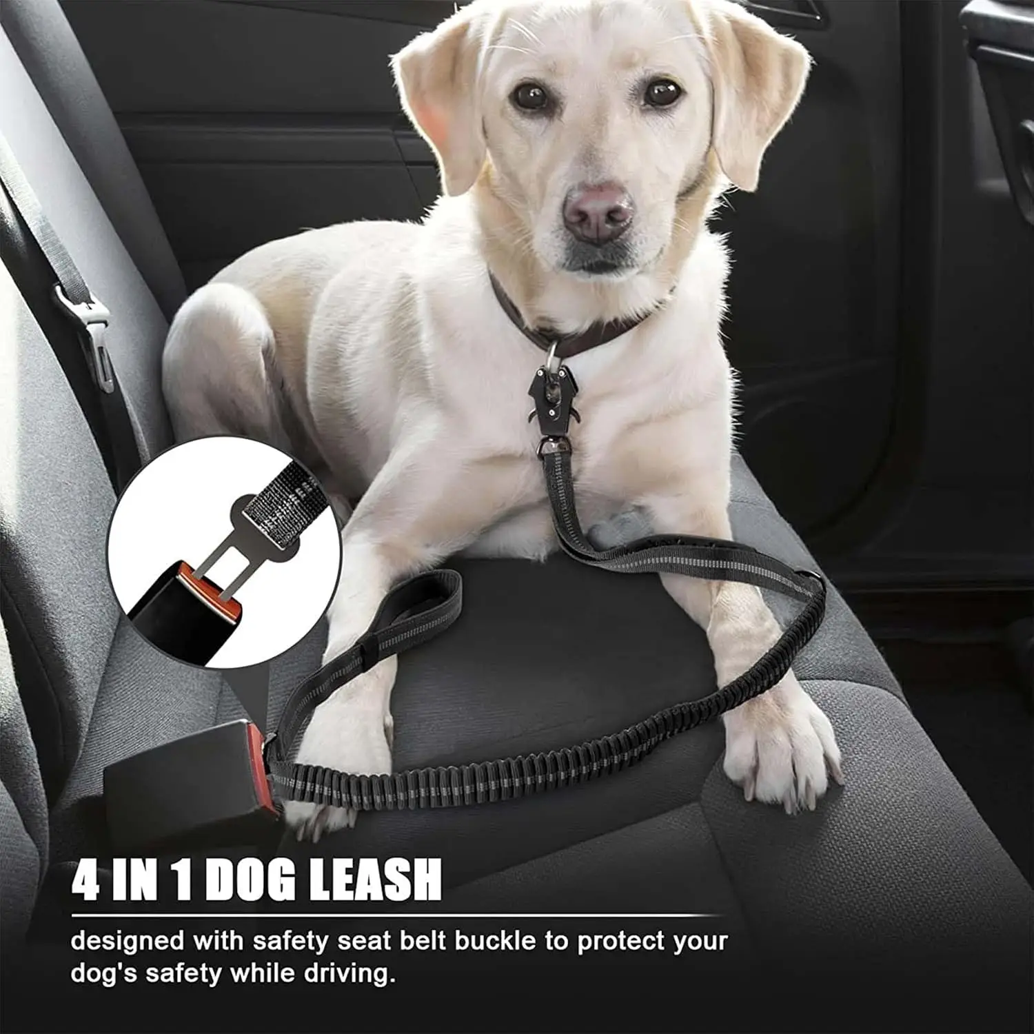 Thumbnail 4 - #34 Reflective Dog Leash Discount Picks