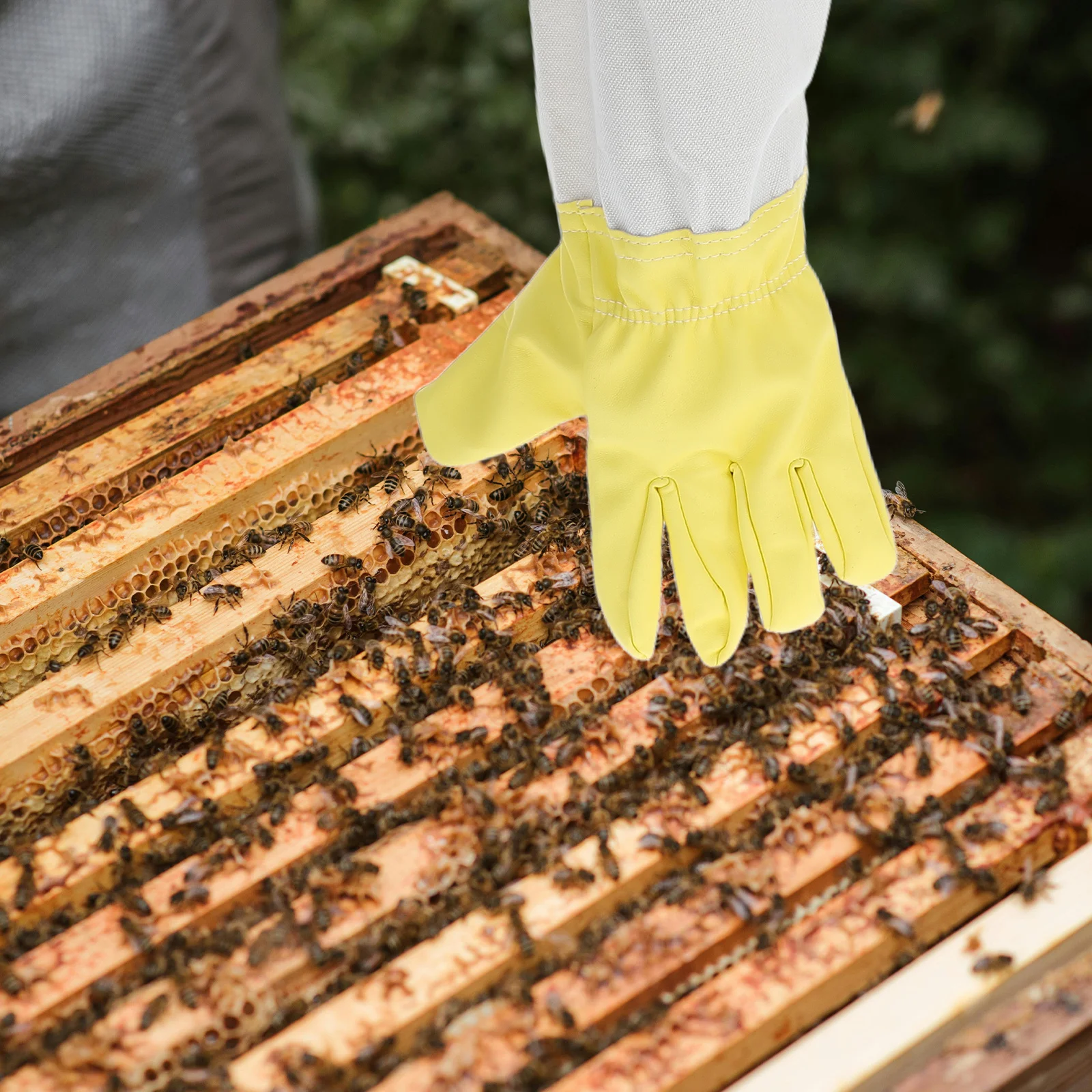 

1Pair Beekeeping Gloves Long Sleeve Heavy Duty PU Canvas Elastic Cuffs Protective Gloves Outdoor Gardening Work